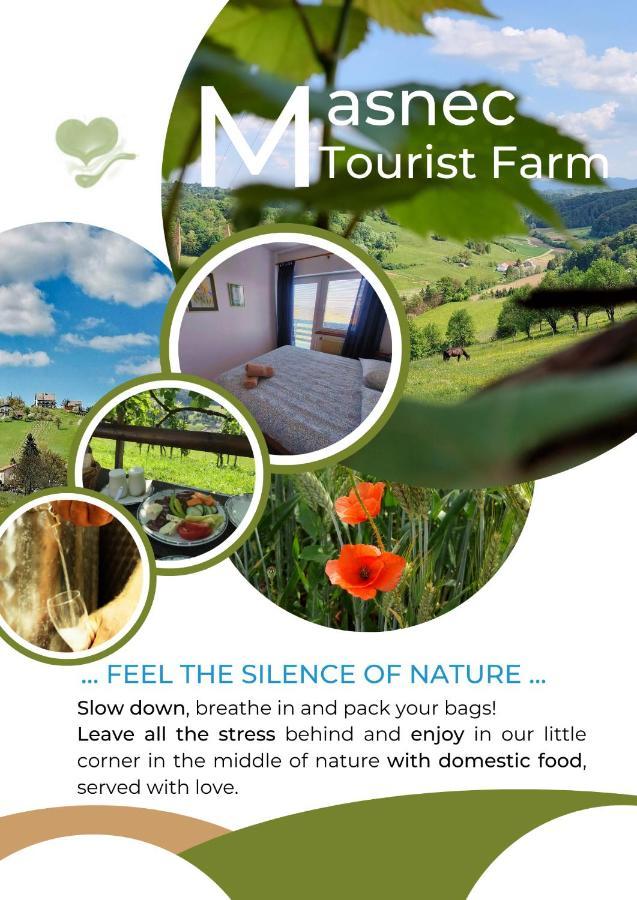 Вилла Masnec Tourist Farm Miljana Экстерьер фото