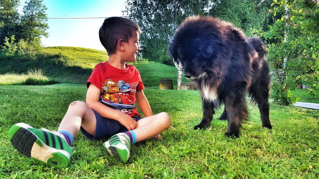 Вилла Masnec Tourist Farm Miljana Экстерьер фото
